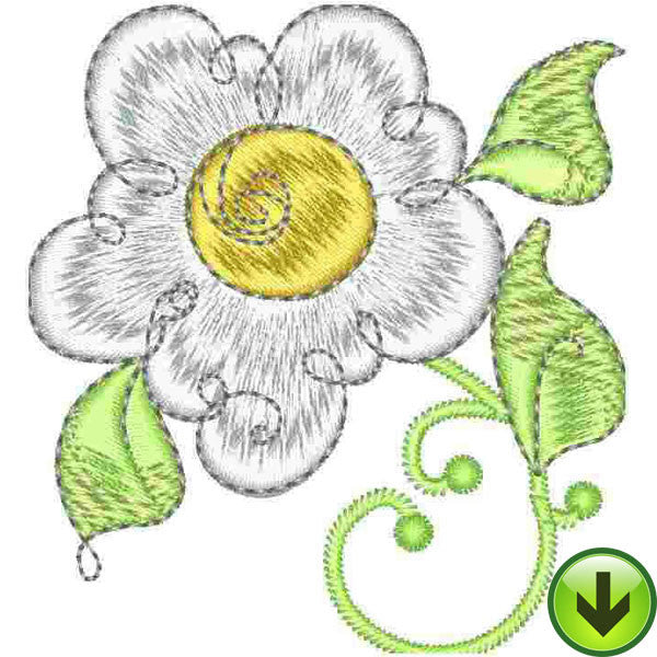 Scrollie Daisy Embroidery Design | DOWNLOAD