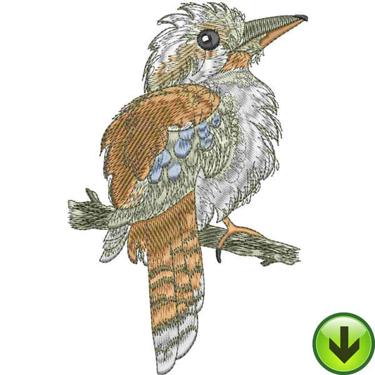 Kooka Embroidery Design | DOWNLOAD