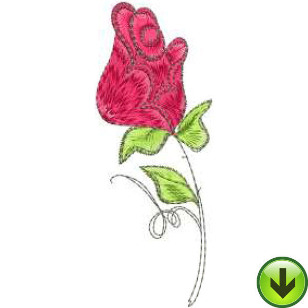 Rose 2 Embroidery Design | DOWNLOAD